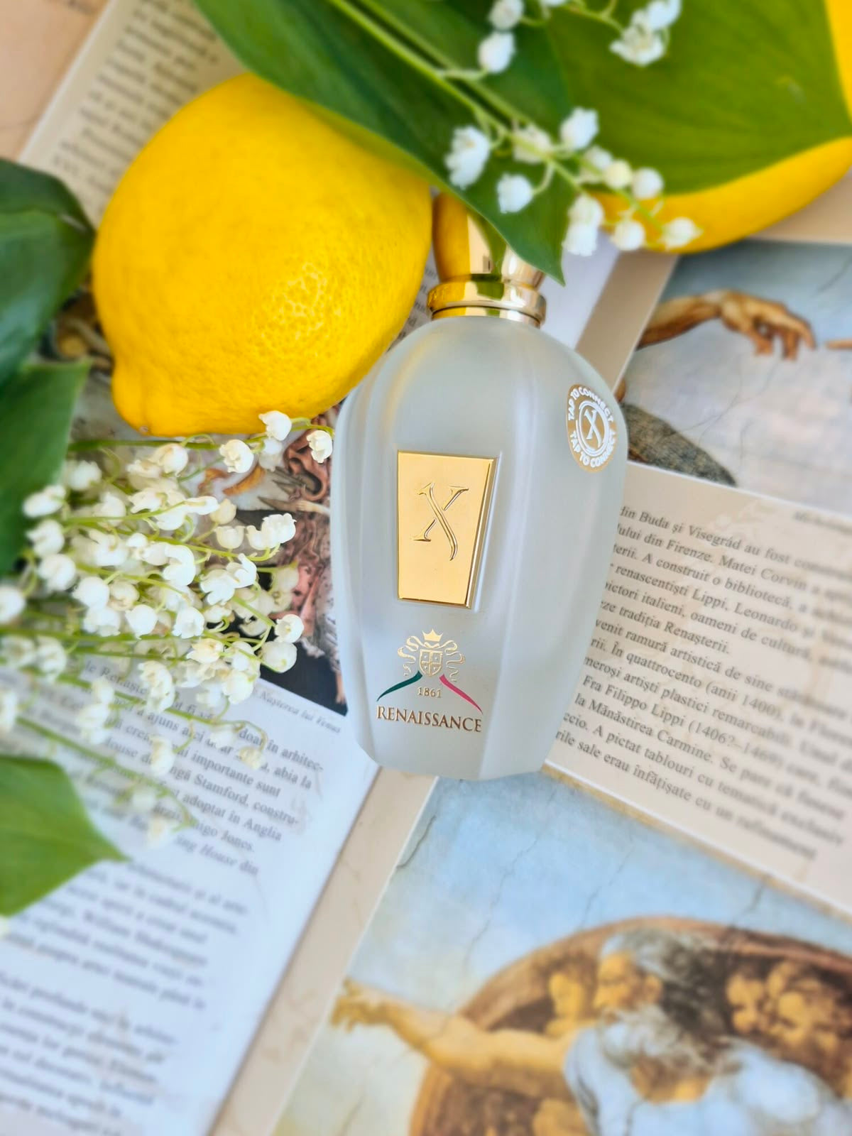Xerjoff Renaissance 100ml